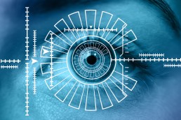 biometric solutions