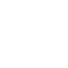 fingerprint icon