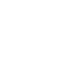 Fraudnet technology icon