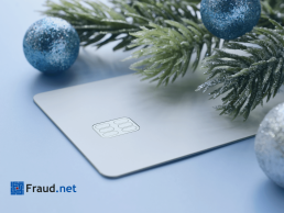 Online Fraud Detection