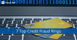 Credit Fraud Rings