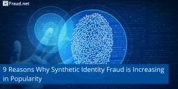 synthetic identity fraud