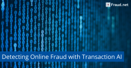 online fraud solution