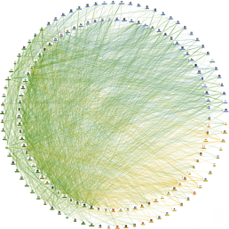 friend wheel visual